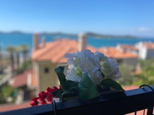 Hotel Cunda Villa Anka