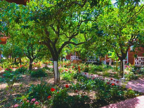 Apartamento Eliz Inn Garden