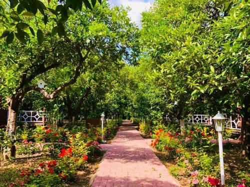 Apartamento Eliz Inn Garden