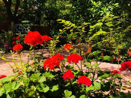 Apartamento Eliz Inn Garden