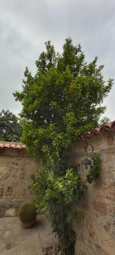 Apartamento Villa Castle Inn
