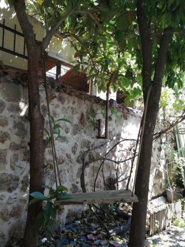 Kuyu Beergarden Hostel