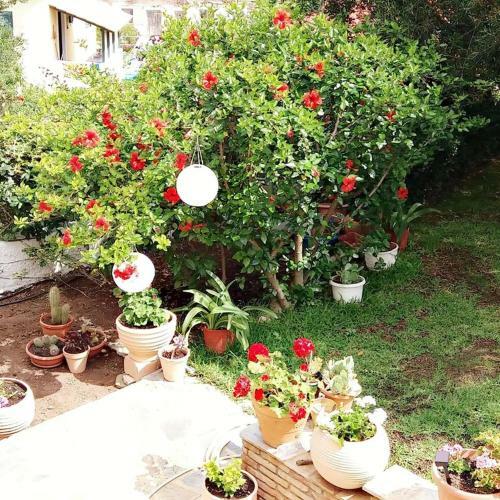 Hostal Pension Gerania