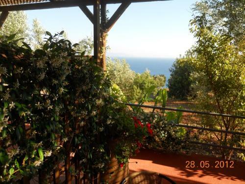 Apartamento Delfinia