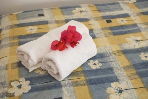 Apartamentos Summer Dream