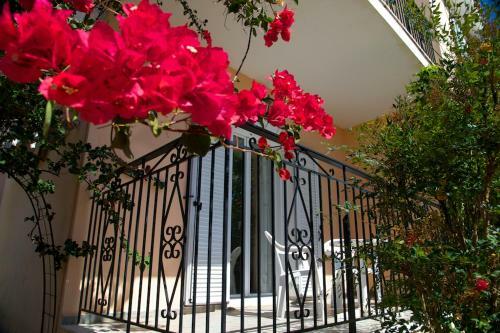 Apartamentos Summer Dream