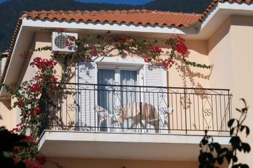 Apartamentos Summer Dream
