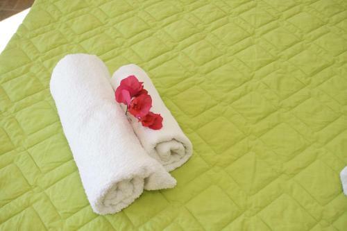 Apartamentos Summer Dream