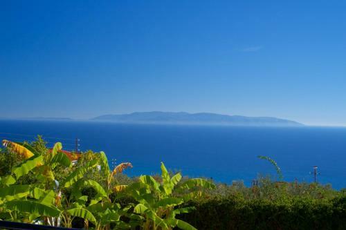 Apartamentos Summer Dream