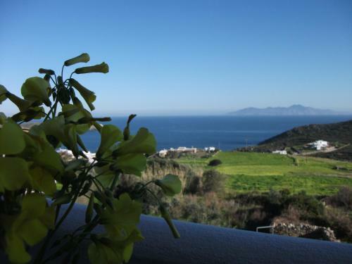 Maroussa's Apartments