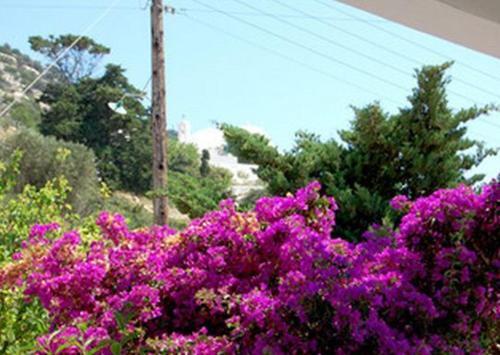 Hostal Koukos