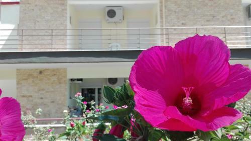 Familia Hotel