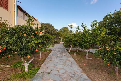 Apartamento Holiday Rooms