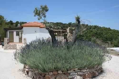 Apartamento Auberge Kalopetri