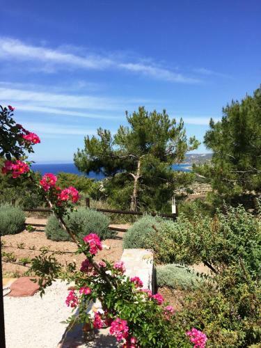 Apartamento Auberge Kalopetri