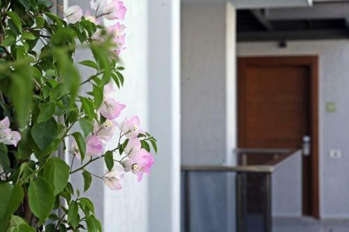 Queen Apart Hotel & Residence