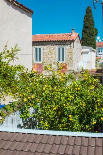 Hotel Mastik K�yi�i