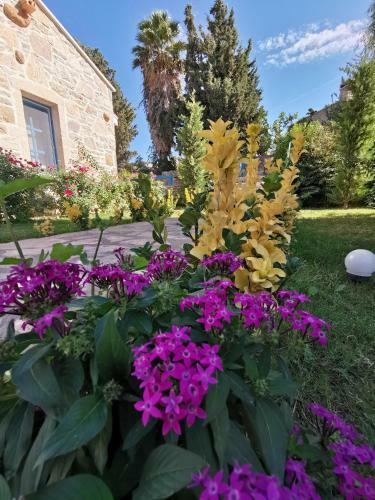 Bed & Breakfast La Petra Eski Datca