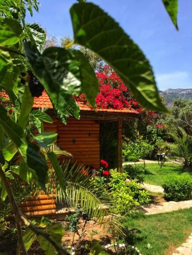 Datca Boheme Butik House`s