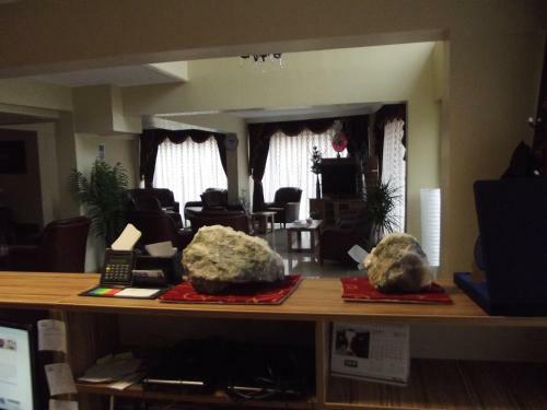 Hotel Borpark Otel