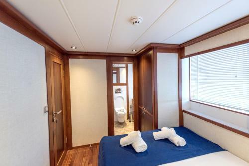 Ada Dreams / Boat