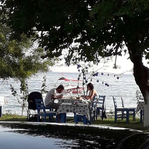 Bed & Breakfast Okaliptus Butik Hotel