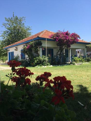 Bed & Breakfast Okaliptus Butik Hotel