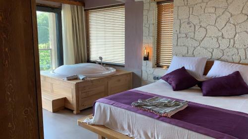 Volans Suites Villas