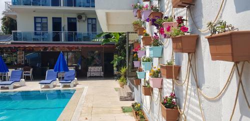 Garden Alis Hotel