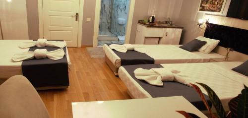 Hotel Taksim Cetinkaya Suite