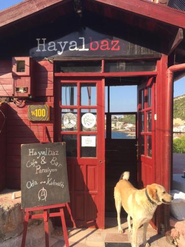 Bed & Breakfast Hayalbaz