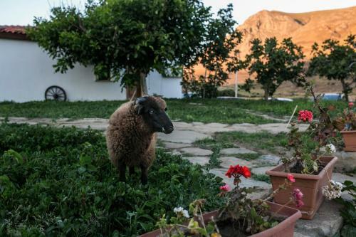 ?mroz Kardamos Hotel