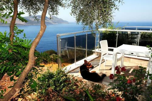 Jackey Boutique Hotel