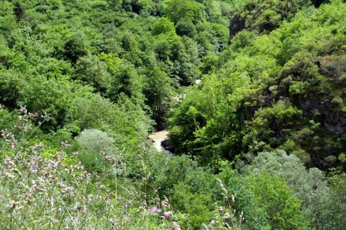 Camlik Apart Hotel