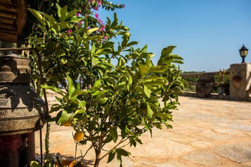 Kuyucak Villa Sleeps 6 With Pool Air Con And Wifi