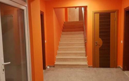 Dolly Apartments