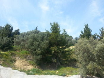 Apartamento Giannis Village