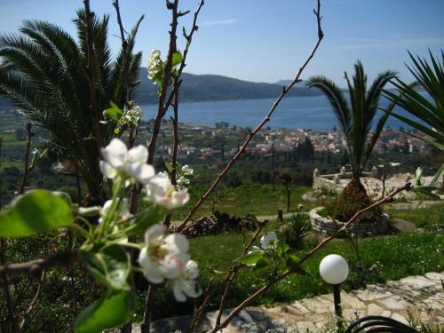 Apartamento Bungalows Lemoni
