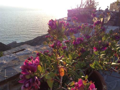 Apartamento Olympos Archipelagos