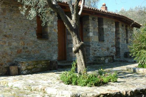 Hostal Gera's Olive Grove (elaionas Tis Geras)