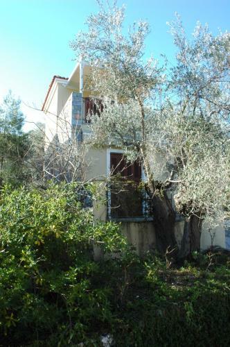Hostal Gera's Olive Grove (elaionas Tis Geras)