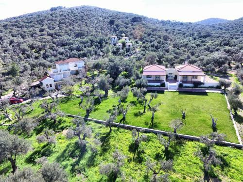 Hostal Gera's Olive Grove (elaionas Tis Geras)