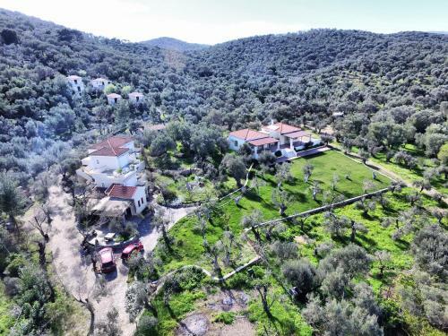 Hostal Gera's Olive Grove (elaionas Tis Geras)
