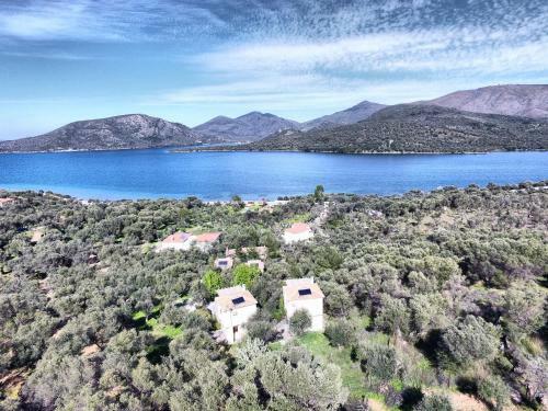 Hostal Gera's Olive Grove (elaionas Tis Geras)