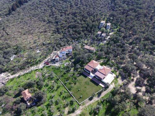 Hostal Gera's Olive Grove (elaionas Tis Geras)