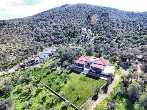 Hostal Gera's Olive Grove (elaionas Tis Geras)