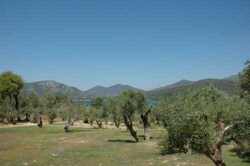 Hostal Gera's Olive Grove (elaionas Tis Geras)