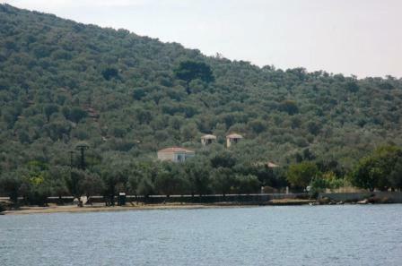 Hostal Gera's Olive Grove (elaionas Tis Geras)