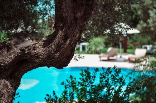 Amore Boutique Hotel