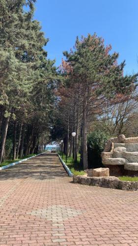 Bed & Breakfast Mavidebul